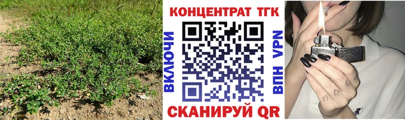 Купить  Поронайск  ТГК концентрат 