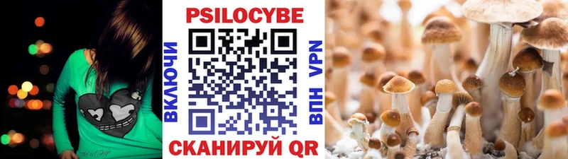 Купить закладки  Поронайск  Псилоцибиновые грибы Psilocybine cubensis 